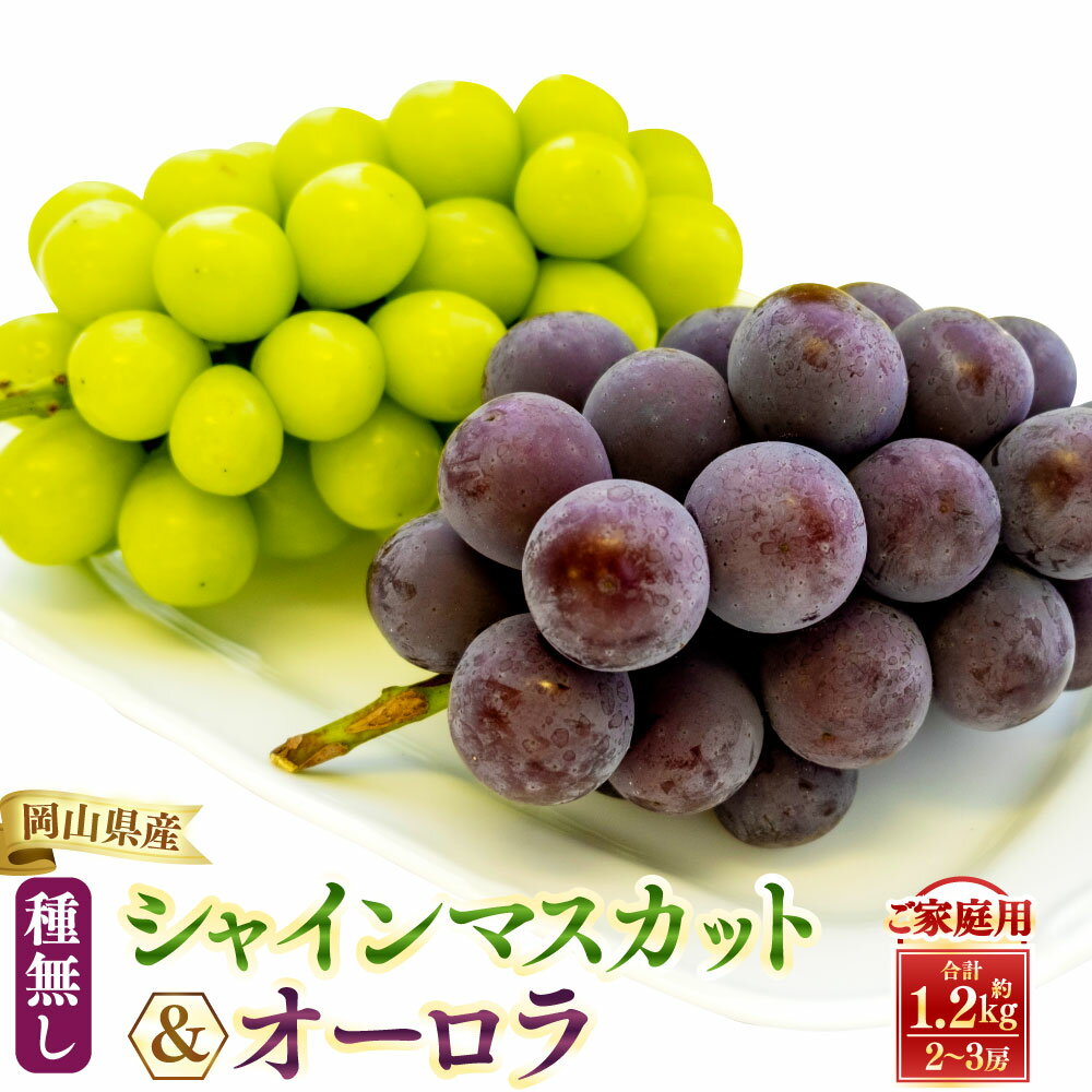 [ ご 家庭 用 ] シャイン & オーロラ 1.2キロ [ 2026年9月上旬から10月上旬頃発送予定 ] 果物 くだもの フルーツ ぶどう ブドウ 葡萄 シャインマスカット 食べ比べ セット 大粒 甘味が強い 甘い 果汁 食べ応え 岡山県 美咲町 送料無料