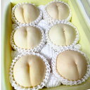 【ふるさと納税】【先行予約】希少品種の岡山の白桃 CX〈選べる〉 約1.5kg箱 or 約2kg箱 桃 モモ ピーチ 果物 フルーツ おやつ デザート お取り寄...