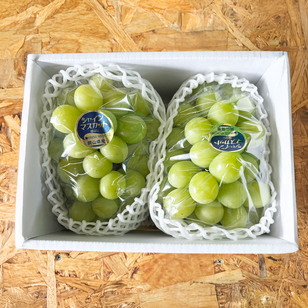 [選べる容量] ぶどう シャイン マスカット 1房 (700g以上) / 2房 (合計1.4kg以上) / 3〜4房 (合計2kg以上) 2026年 先行予約 ブドウ 葡萄 岡山県産 国産 フルーツ 果物 河本農園 岡山県 美咲町 冷蔵 送料無料 [2026年9月上旬〜9月下旬発送予定]