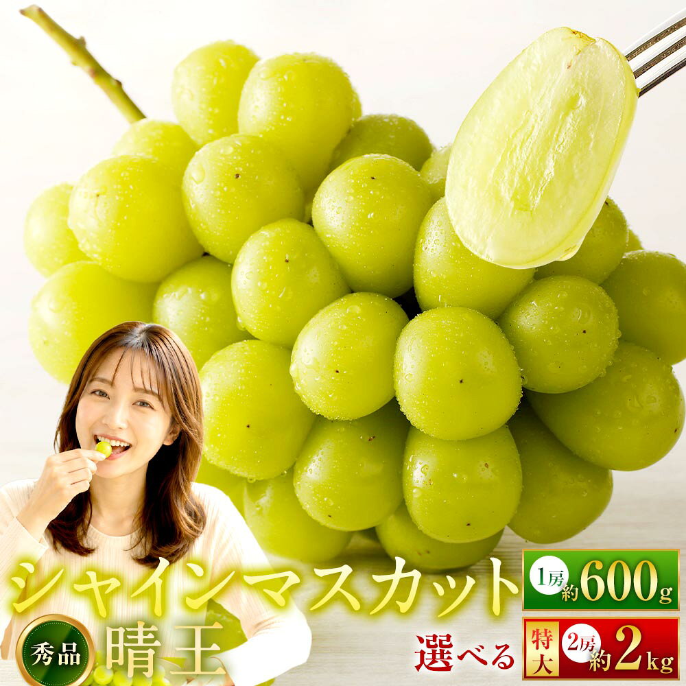 ＜選べる内容量＞ シャインマスカット 晴王 秀品 1房（約600g） / 特大 2房（約2kg） ぶどう ブドウ 葡萄 フルーツ くだもの 果物 果実 デザート 種なし 皮ごと ギフト 贈答 贈り物 冷蔵 国産 岡山県産 美咲町 送料無料 【2026年9月上旬から10月下旬迄発送】