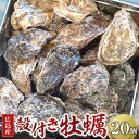【ふるさと納税】広島県産 草津かき(殻付き) 20個 | 牡蠣 カキ 広島かき 広島牡蠣 貝 魚貝類 魚介類 オイスター 海鮮 海産物 殻付き 広島県 広島市
