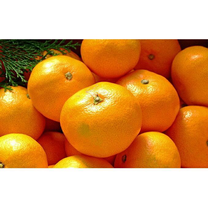 【ふるさと納税】安心！広島ブランド　うんしゅうみかんとレモンのセット　【果物類・柑橘類・みかん・フルーツ・果物類・柑橘類・レモン・檸檬】　お届け：2021年11月上旬〜2022年1月中旬･･･