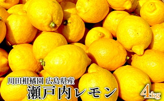 川田柑橘園 広島県産 「瀬戸内レモン」4kg　