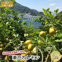 【ふるさと納税】瀬戸内 レモン 2kg 呉市大崎下島産 栽培