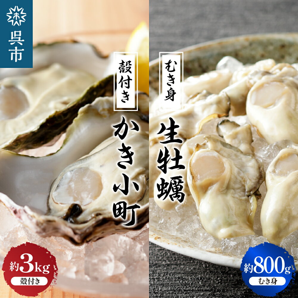 【ふるさと納税】【選べる配送時期】丸十水産 生牡蠣 特選むき身 800g 殻付き かき小町 約3kg (15〜21個) セット生食可能 生食用 冷蔵便 国産 生牡蠣 音戸産 特選 牡蠣 カキ むき身 旨味 濃厚 新鮮 美味しい 秋 旬 広島県 呉市のサムネイル