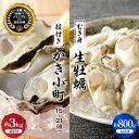 【ふるさと納税】 先行予約 【 2025年 12月 より発送】丸十水産 生牡蠣 特選 むき身 800g 殻付き かき小町 約3kg (15〜21個) セット 冷...