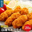 【ふるさと納税】かきフライ 丸十水産 大粒 2Lサイズ 広島県産 冷凍 カキフライ( 約 40g × 20粒 ) 広島ブランド牡蠣 かき小町 国産 ビックサイズ 日本一 広島県 呉市 牡蠣 かき お惣菜 おかず 揚げるだけ 簡単 送料無料 10,000円