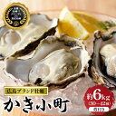【ふるさと納税】 先行予約 【 2025年 12月 より発送】丸十水産 広島ブランド牡蠣 殻付き かき小町 約6kg (30〜42個) 冷蔵便 国産 生牡蠣 生...