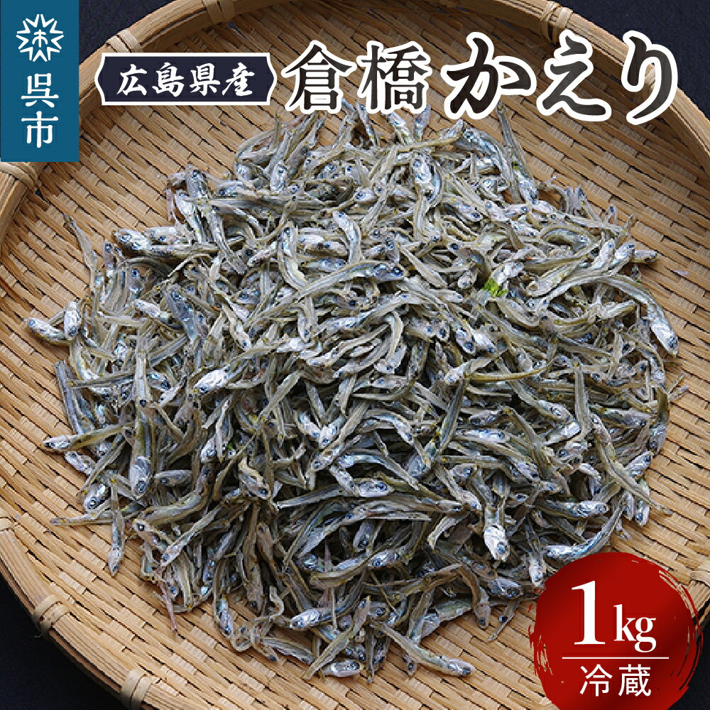 【ふるさと納税】宮原水産 倉橋かえり 1kg カタクチイワシ