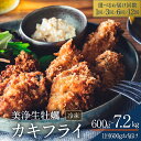 【ふるさと納税】中野水産 美浄生牡蠣 広島県産 冷凍 カキフライ (1回のお届け 300g×2パック 計600g)お届け回数が選べる 1回 3回 6回 12回 ...