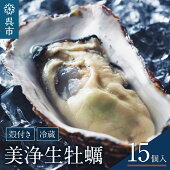 【ふるさと納税】中野水産加熱用美浄生牡蠣（殻付）15個