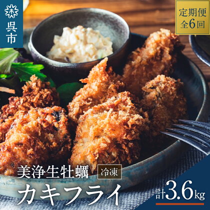 【 定期便 6か月 】中野水産 美浄生牡蠣 広島県産 冷凍 カキフライ (300g×2パック/全6回) 国産 大粒 かきフライ 便利 小分け 惣菜 おかず お弁当 簡単 海鮮 送料無料 広島県 呉市