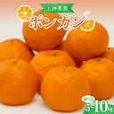 【ふるさと納税】先行予約 ポンカン【内容量が選べる】 約 5kg / 約10kg 【2026年1月中旬〜発送】みかん 蜜柑 フルーツ 果物 柑橘 ビタミンC 甘...
