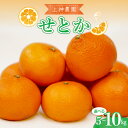 【ふるさと納税】先行予約 みかん 広島県産 せとか 約 5kg 約 10kg 【2026年2月初旬〜発送】蜜柑 フルーツ 果物 柑橘 ジューシー 多汁 ビタミン...