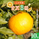 【ふるさと納税】先行予約 上神農園の甘夏 3種類 詰め合わせ 約 10kg【2026年4月上旬〜発送】 みかん 甘夏 柑橘 果物 フルーツ お取り寄せ ジューシ...
