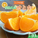 【ふるさと納税】【規格外品】 先行予約 広島県産 せとか 約5kg / 約10kg【2026年2月初旬~発送】みかん 柑橘 果物 フルーツ 上神農園 先行受付 お取り寄せ ジューシー 甘い 薄皮 味 変わりなし 広島県 呉市 果実 果汁 多汁 食べやすい 女王 甘味 瀬戸内海(4)