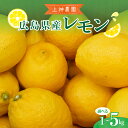 【ふるさと納税】上神農園 の 広島県産 レモン 約1kg / 約2.5kg / 約5kg 内容量が選べる 旬 フルーツ 果物 柑橘 産地直送 イエローレモン レモンサワー カクテル 料理 スイーツ ケーキ 爽やか 疲労回復 おすすめ 贈答 贈り物 成人式 年末 年始 国産 広島県 呉市
