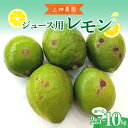【ふるさと納税】先行予約 ジュース用 レモン 約2.5kg / 約10kg レモン れもん 檸檬 柑橘 果物 フルーツ レモネード お取り寄せグルメ 栽培期間中低農薬 防腐剤不使用 ワックス不使用 ジューシー 果汁 レモン汁 爽やか レモン飲料 産地直送 先行受付 広島県 呉市