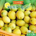 【ふるさと納税】家庭用 広島産 レモン 約2.5kg / 約5kg / 内容量が選べる レモン れもん 檸檬 柑橘 果物 フルーツ レモネード お取り寄せ ジューシー 栽培期間中低農薬 防腐剤不使用 ワックス不使用 広島県 呉市 酸味 爽やか 味は変わらず 瀬戸内海
