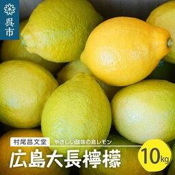 【ふるさと納税】国産檸檬（レモン）発祥の地 広島大長檸檬 10kg広島県産 瀬戸内 柑橘 レモン 生産量日本一の広島 産地直送 送料無料 果物 フルーツ 12月初旬まではグリーンレモン それ以降はイエローレモン 呉市 フレッシュ やさしい酸味