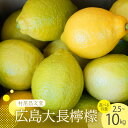 【ふるさと納税】先行予約 国産檸檬(レモン)発祥の地 広島大長檸檬 2.5kg 5kg 10kg 広島県産 瀬戸内 檸檬 レモン 生産量日本一の広島 産地直送 送料無料 果物 柑橘 フルーツ 12月初旬まではグリーンレモン それ以降はイエローレモン 先行受付 大容量 広島県 呉市