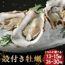 【ふるさと納税】海からそのまま 殻付き 牡蠣 選べる 13個〜15個 / 26個〜30個 【 先行予約 】矢野水産 フレッシュギフト 広島県産 冷蔵便 国産 か...