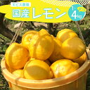 【ふるさと納税】 2025年 12月 上旬~発送【栽培期間中 農薬不使用】有機JAS認証 皮まで美味しい 希少な国産オーガニックレモン 約1kg / 約2kg / 約4kg / 内容量が選べる れもん lemon フルーツ 果物 柑橘 産地直送 12月初旬までグリーンレモン 国産 広島県 呉市