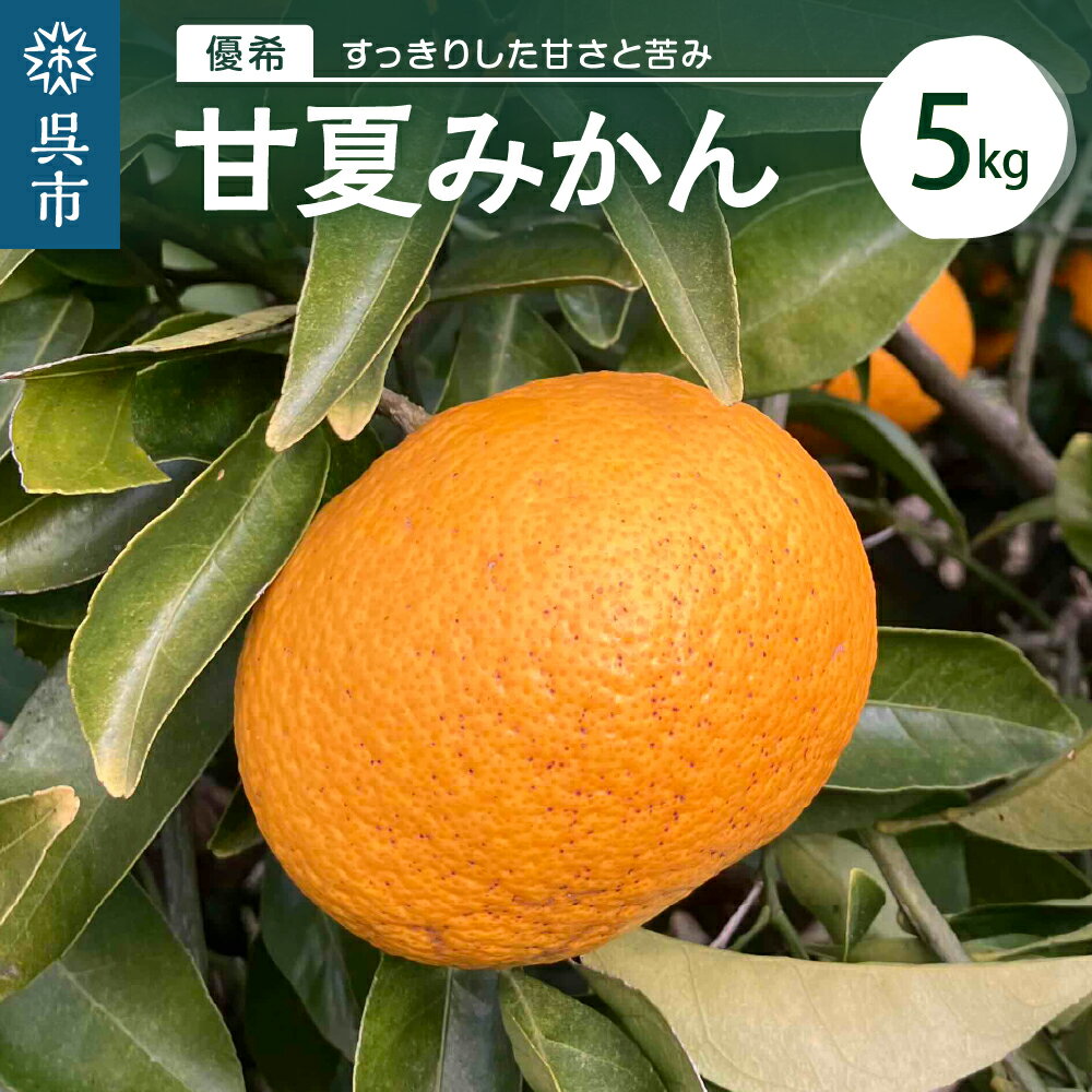 栽培期間中無農薬 甘夏みかん 5kgみかん ミカン 蜜柑 ビタミンC クエン酸 果物 くだもの フルーツ 送料無料 広島県 呉市