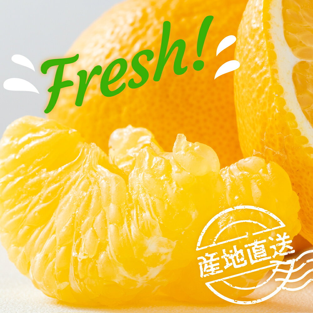 【ふるさと納税】 先行予約 栽培期間中農薬・除草剤不使用 甘夏 みかん 5kg 【 2027年 2月中旬～発送】 ミカン 蜜柑 あまなつ 果物 くだもの フルーツ 柑橘 送料無料 産地直送 お取り寄せ 春 旬 数量限定 期間限定 広島県 呉市 f342025-kure-10002033 広島県呉市 サンプル画像2