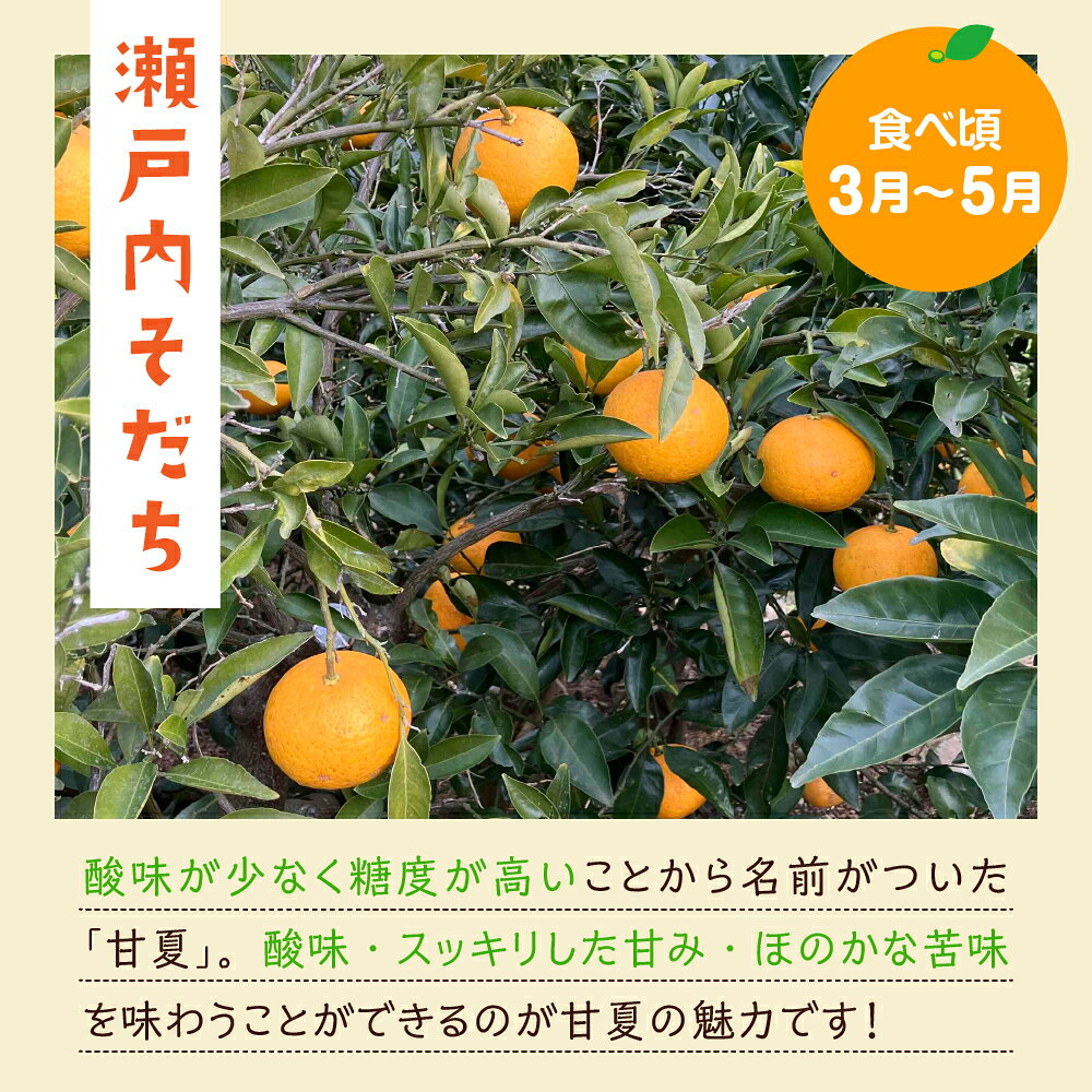 【ふるさと納税】 先行予約 栽培期間中農薬・除草剤不使用 甘夏 みかん 5kg 【 2027年 2月中旬～発送】 ミカン 蜜柑 あまなつ 果物 くだもの フルーツ 柑橘 送料無料 産地直送 お取り寄せ 春 旬 数量限定 期間限定 広島県 呉市 f342025-kure-10002033 広島県呉市 サンプル画像3
