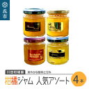 16位! 口コミ数「0件」評価「0」島の恵み 瀬戸内 柑橘ジャム 人気 アソート 4本 セット 食べ比べ セット 温州みかん 紅八朔 レモン しらぬい ジャムセット シトラス ･･･ 