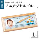 胎毛筆 【ふるさと納税】赤ちゃん の 筆 「ミニカプセルブルー」 お仕立て券赤ちゃん筆 胎毛筆 名入り 名入れ ファーストヘア ファーストカット 髪の毛 思い出 記念 記念品 記念日 誕生 孫 晴れの日 七五三 新生活 新学期 プレゼント 贈り物 ギフト 広島県 呉市