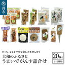 【ふるさと納税】大和のふるさと うまいでがんす詰合せ RCC-1がんす 揚げかまぼこ ちくわ 竹輪 かまぼこ 蒲鉾 チーズ万十 きくらげ天 えび天 じゃこ天 清...