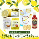 【ふるさと納税】レモン好き のための レモン 1kg と レモン バラエティ セット / 洋菓子 スイーツ レモンケーキ ラスク 藻塩レモン レモネード シソ ...