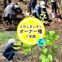 【ふるさと納税】とびしま レモン 苗木1本 オーナー権 1年間オーナー制度 フルーツ 植樹 地域支援 地域応援 園地来訪 お世話体験 広島県 呉市