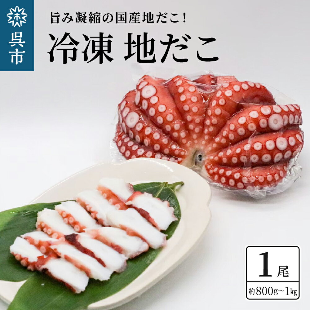 冷凍 国産 地だこ 1尾 (約 800g 〜 1kg )国産たこ タコ 肉厚 正月 刺身 酢の物 唐揚げ たこ焼き 炒め物 広島県 呉市