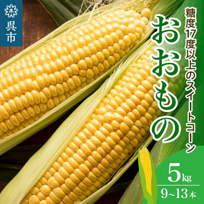 洋菓子素材工房ぴゅあハウス 【品種 おおもの】黄色 とうもろこし 箱込み 約5kg 9本～13本 ≪6月中旬ごろより順次発送開始≫スイートコーン キャンプ飯 BBQ 生 野菜 冷蔵発送 送料無料 広島県 呉市