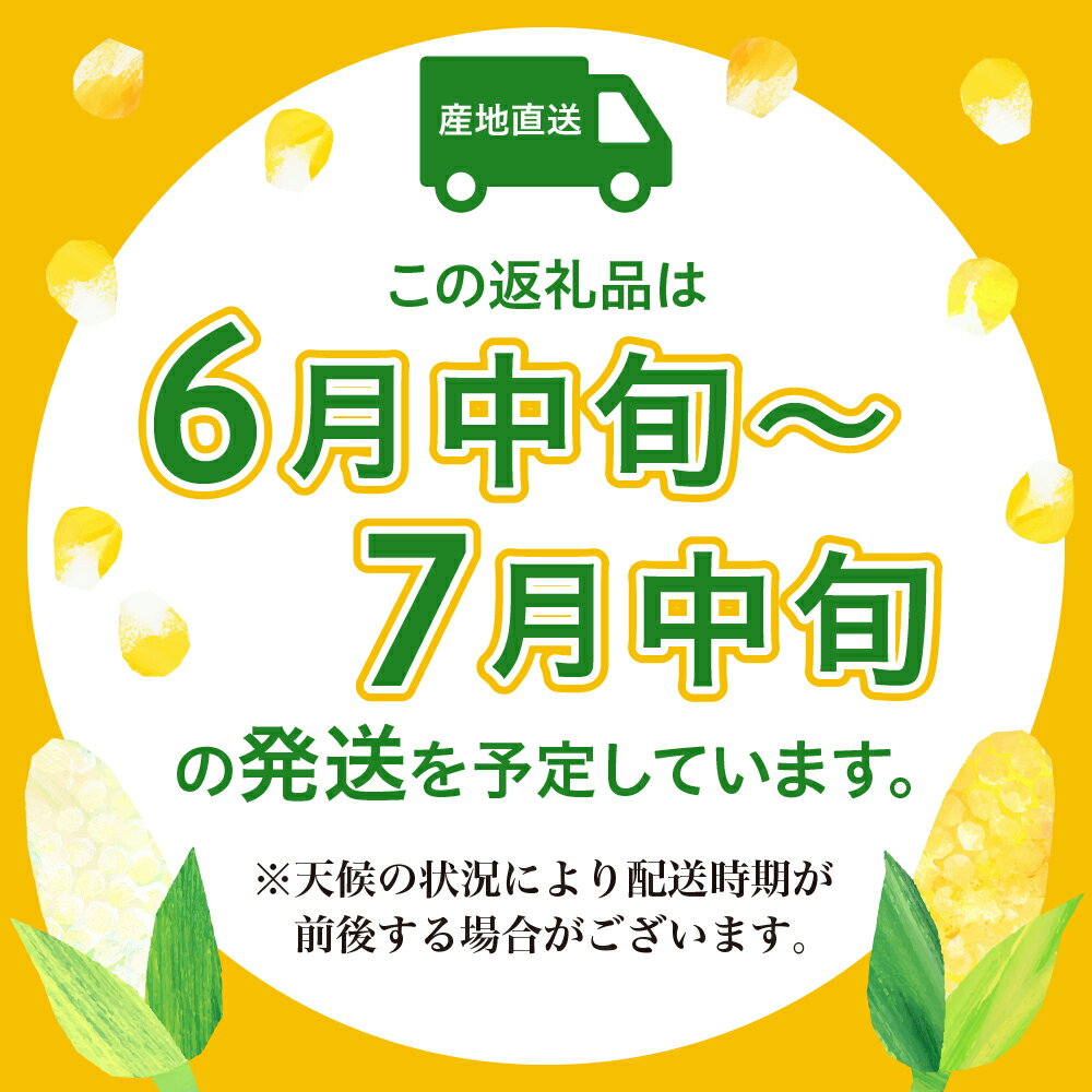 【ふるさと納税】洋菓子素材工房ぴゅあハウス 【品種 おおもの】黄色 とうもろこし 箱込み 約5kg 9本～13本 ≪6月中旬ごろより順次発送開始≫スイートコーン キャンプ飯 BBQ 生 野菜 冷蔵発送 送料無料 広島県 呉市