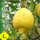 【ふるさと納税】先行予約 安全・安心 広島レモン 4kg 【2025年10月中旬~発送】 JA グリーンレモン イエローレモン れもん 檸檬 柑橘 果物 フルーツ 栽培期間中腐敗防止剤不使用 皮ごと 食べられる 皮 常温配送 産地直送 お取り寄せグルメ 送料無料 先行受付 広島県 呉市