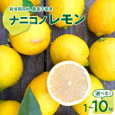 【ふるさと納税】先行予約 ナニコノレモン 1kg 3kg 5kg 10kg 【2025年12月下旬~発送】 内容量が選べる 広島県産 瀬戸内 檸檬 レモン 果物 柑橘 フルーツ グリーンレモン イエローレモン 産地直送 送料無料 常温配送 先行受付 大容量 広島県 呉市