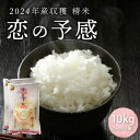 人気ランキング第4位「広島県竹原市」口コミ数「2件」評価「4」2024年産収穫「恋の予感」精米10kg（5kg×2袋）【 お米 ライス 白米 ご飯 炭水化物 主食 おにぎり 直送 新品種 やや大粒 もちもち 弾力 お弁当 広島県産 】※2024年11月下旬頃より順次発送予定