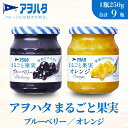 【ふるさと納税】ジャム ブルーベリー オレンジ まるごと果実 2種9瓶(1瓶250g)アヲハタ【加工食品 果物 フルーツ 詰め合わせ フルーティー 果肉 ゴロゴ...