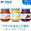 【ふるさと納税】ジャム いちじく リンゴ クランベリー 各3瓶 まるごと果実 3種9瓶(1瓶250g)アヲハタ【加工食品 果物 フルーツ 詰め合わせ フルーティ...