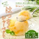 【ふるさと納税】【選べる内容量】因島のはっさくシャーベット(未凍結)12個入り・3箱 15個セット(1箱75g×5個入)