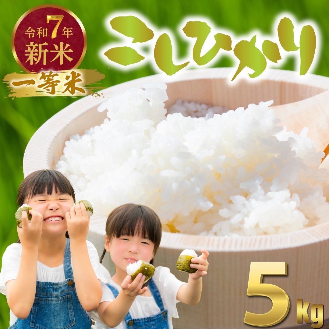 令和7年度新米 広島県産米 コシヒカリ 5kg 一等米 精米[ 米 お米 新米 広島県産 おむすび ごはん ゴハン こめ コメ おにぎり 国産]