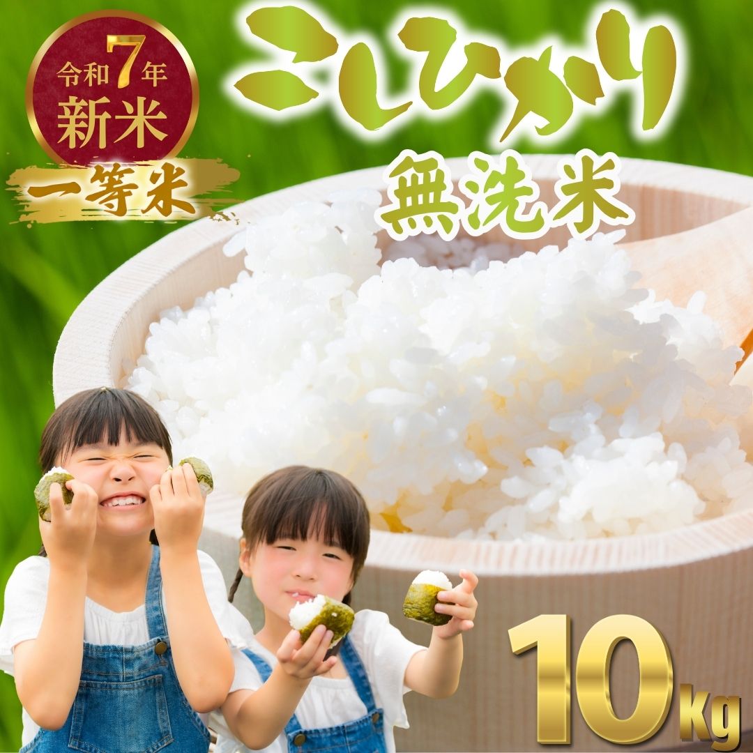 [無洗米]令和7年度新米 広島県産米 コシヒカリ 無洗米 10kg 一等米 精米[ 米 お米 新米 広島県産 おむすび ごはん ゴハン こめ コメ おにぎり 国産]