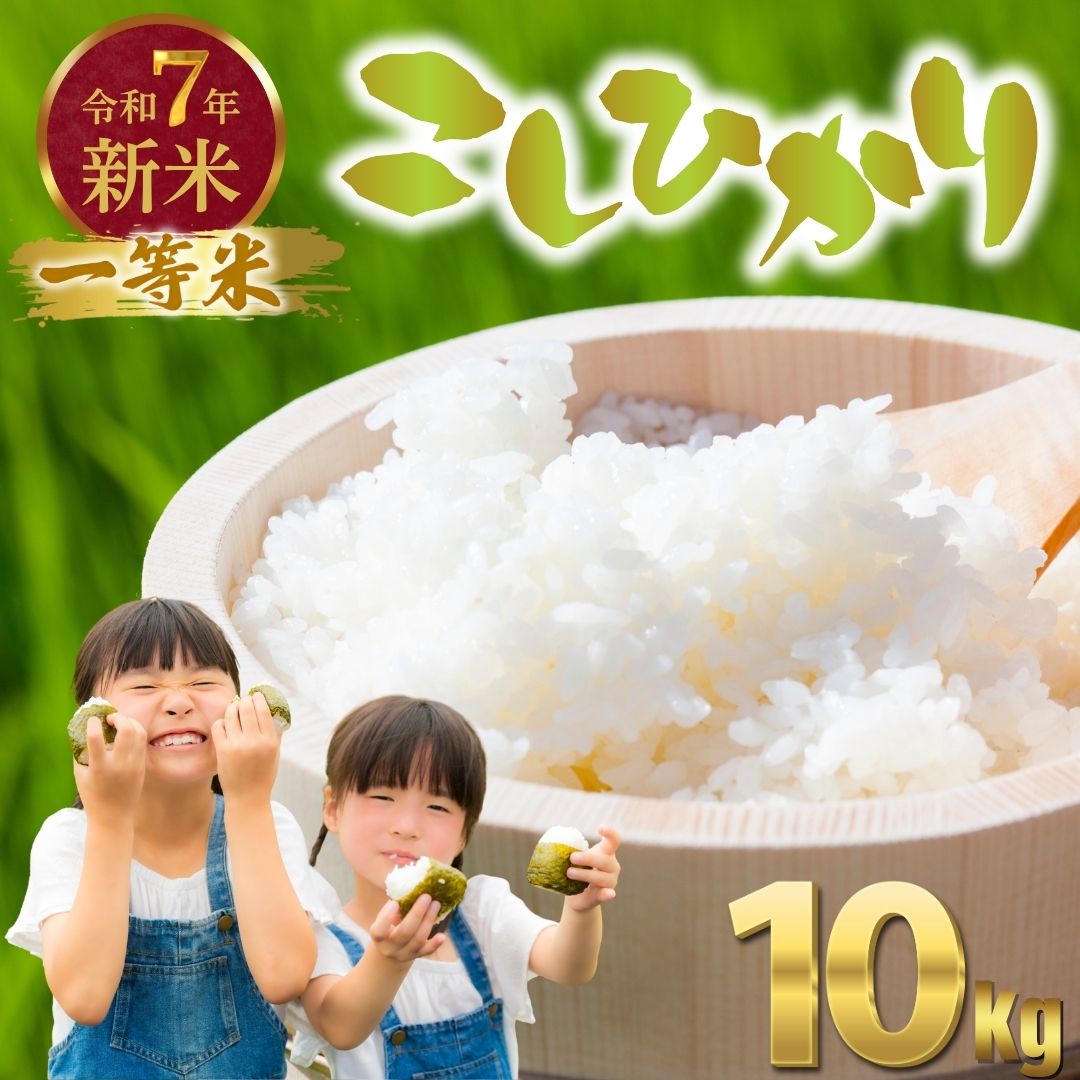 令和7年度新米 広島県産米 コシヒカリ 10kg 一等米 精米[ 米 お米 新米 広島県産 おむすび ごはん ゴハン こめ コメ おにぎり 国産]※2025年10月より順次発送予定