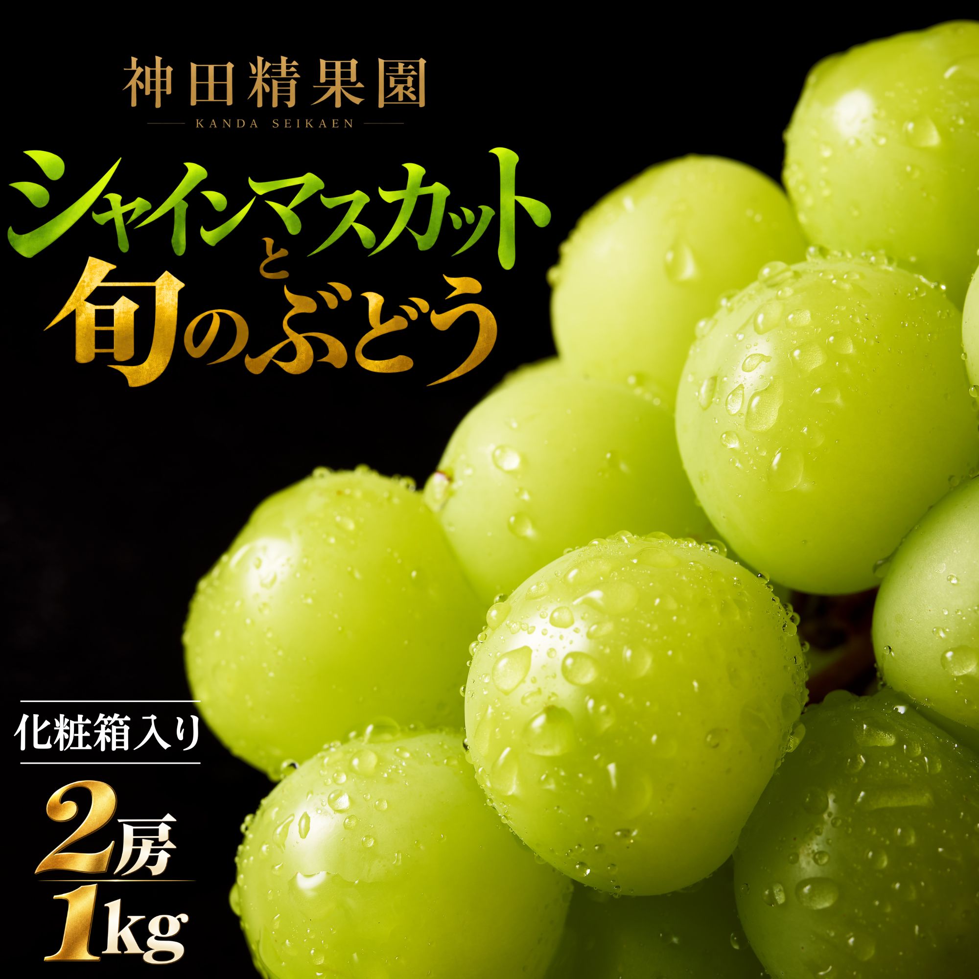 シャインマスカットと旬のぶどう 詰め合わせ (1房ずつ合計2房) 約1kg 食べ比べ 神田精果園 化粧箱入り | シャインマスカット ブドウ 葡萄 冷蔵 種無し 種なし フルーツ 果物 贈り物 ギフト 贈答用 広島 県産 竹原産 農家直送 [2026年9月より順次発送]