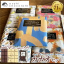 【ふるさと納税】カカオセット