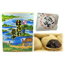 【ふるさと納税】はこにわ最中 1箱 20個入り いちかわ菓子舗　【お菓子 和菓子 おやつ お茶菓子 お茶うけ スイーツ 竹原市 お土産 ボリューム 餡子 常温 常温保存 】